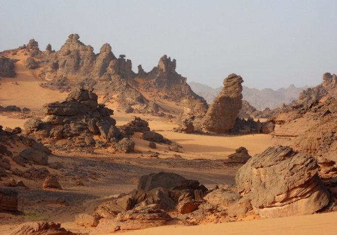 Investissez au Tchad