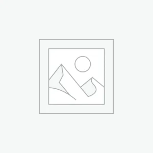 Enceinte sans fil premium